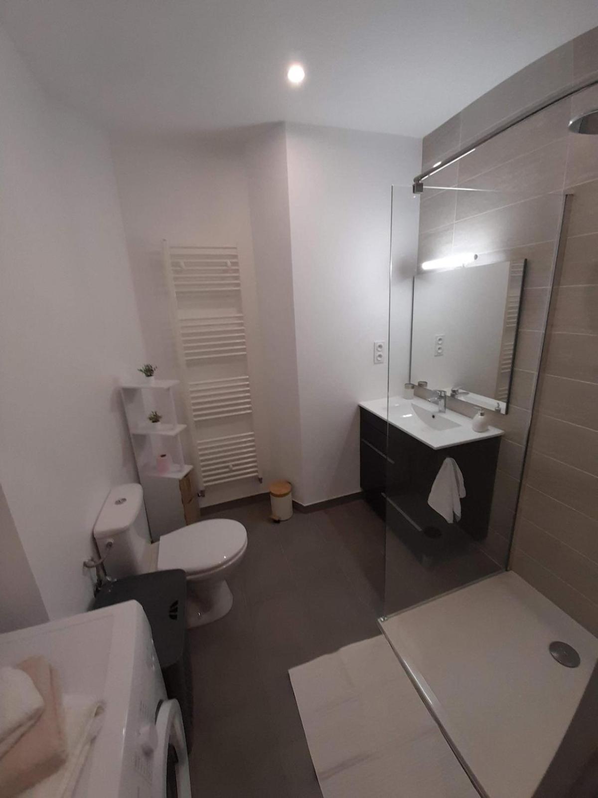 T2 Spacieux Et Confortable Mulhouse Dış mekan fotoğraf